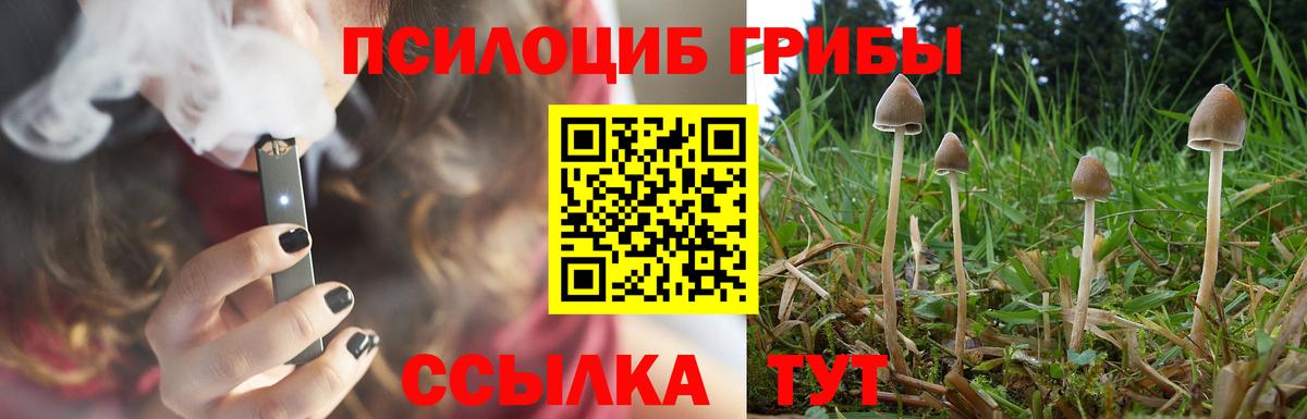 Галлюциногенные грибы Psilocybine cubensis Клинцы